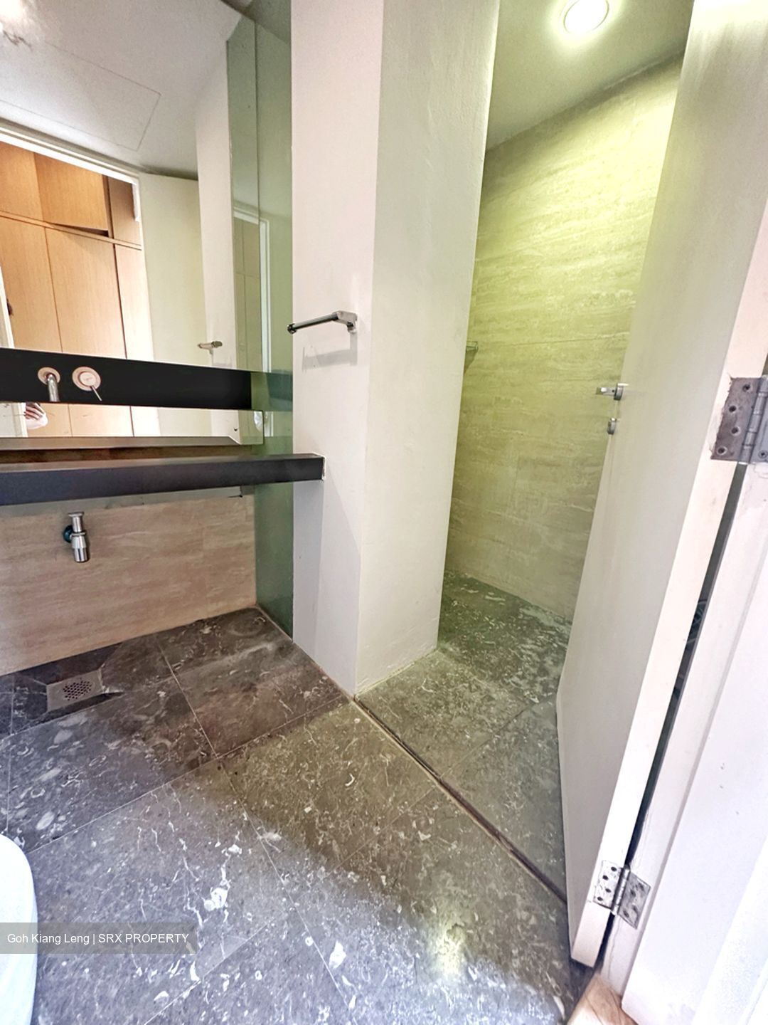 Queens Astrid Gardens (D10), Apartment #446470141